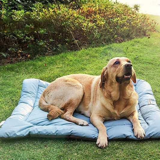 Lit de camp pour chien en plein air idéal