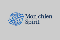 Mon chien Spirit blanc