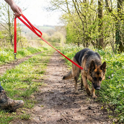 Longe pour chien rouge avec mousqueton métallique, pour la promenade