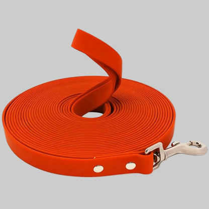 Longe chien biothane 10 m impermeable