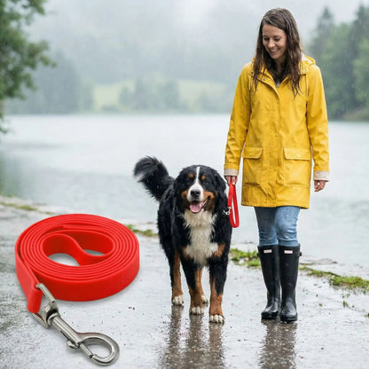 Longe pour chien rouge avec mousqueton métallique, pour la marche