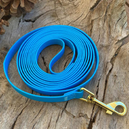 Longe pour chien en ruban bleu avec mousqueton doré, boucle enroulée
