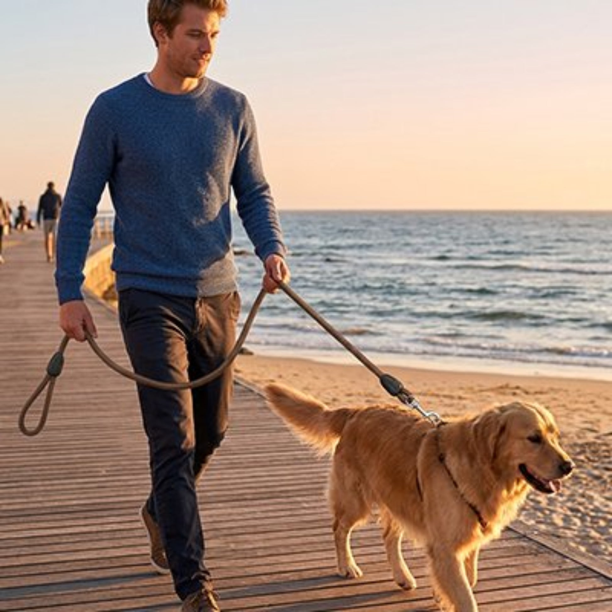 Longe pour chien foncée avec poignée et attache, promenée sur un quai