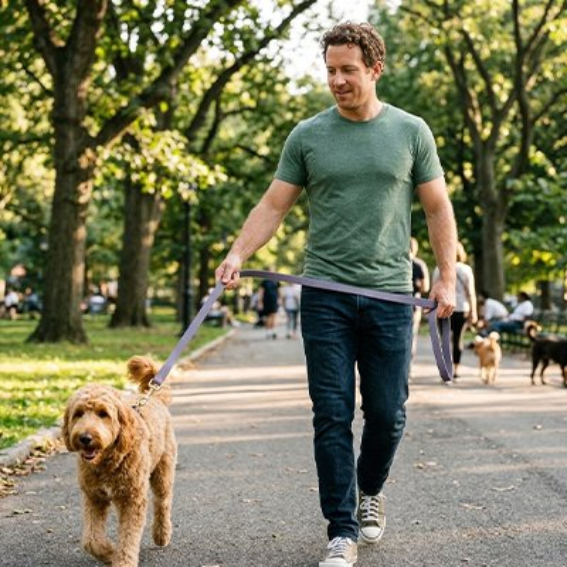 Longe pour chien mauve avec laisse violette, chien marchant en extérieur