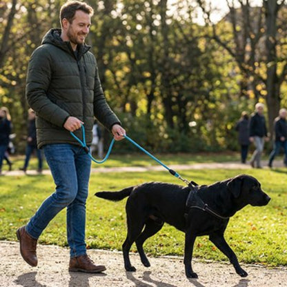 Longe pour chien bleue avec poignée et mousqueton, tenue pour la promenade