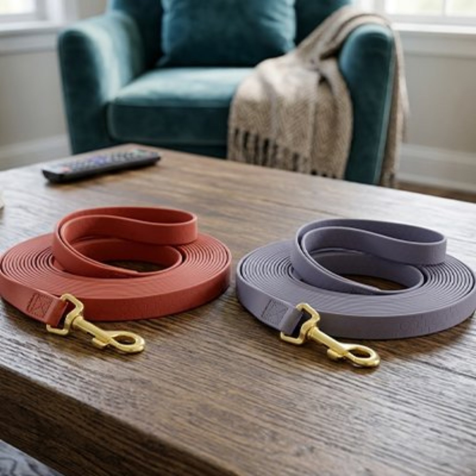 Longe pour chien rouge et mauve en rouleau, avec mousquetons dorés