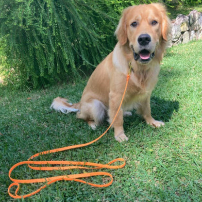 Longe pour chien en corde orange, boucle au sol et attache au collier