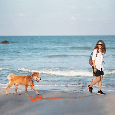 longe pour chien femme plage