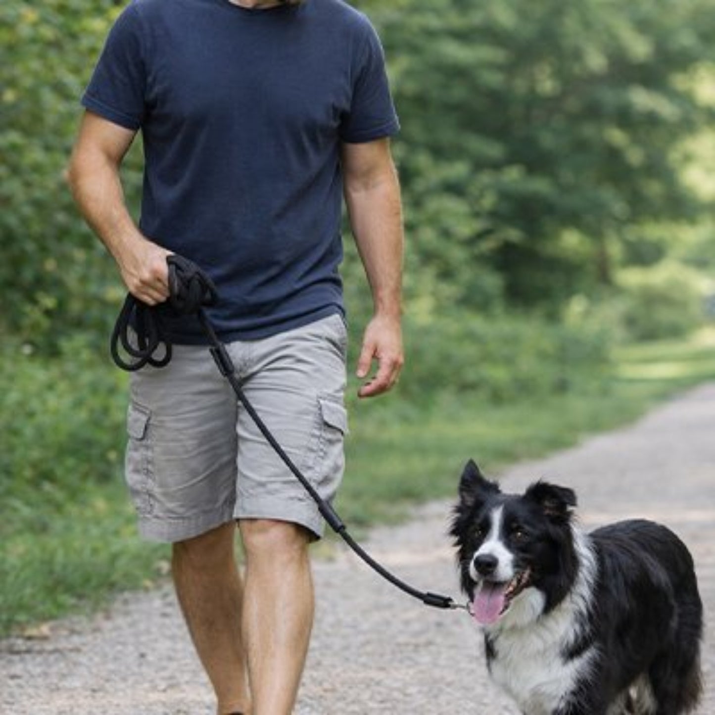 Longe pour chien 5 m noire, poignée et mousqueton