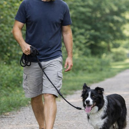 Longe pour chien 5 m noire, poignée et mousqueton