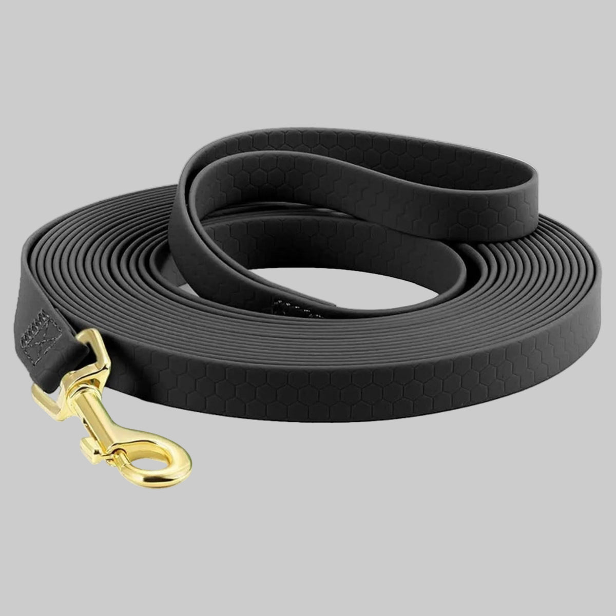 Longe pour chien foncée à motif hexagonal, mousqueton doré