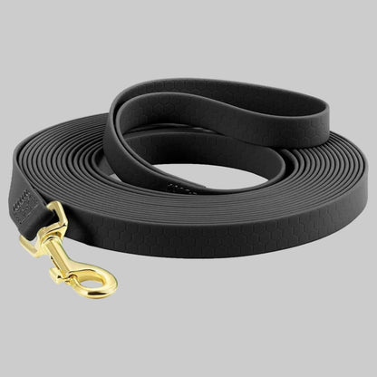 Longe pour chien foncée à motif hexagonal, mousqueton doré