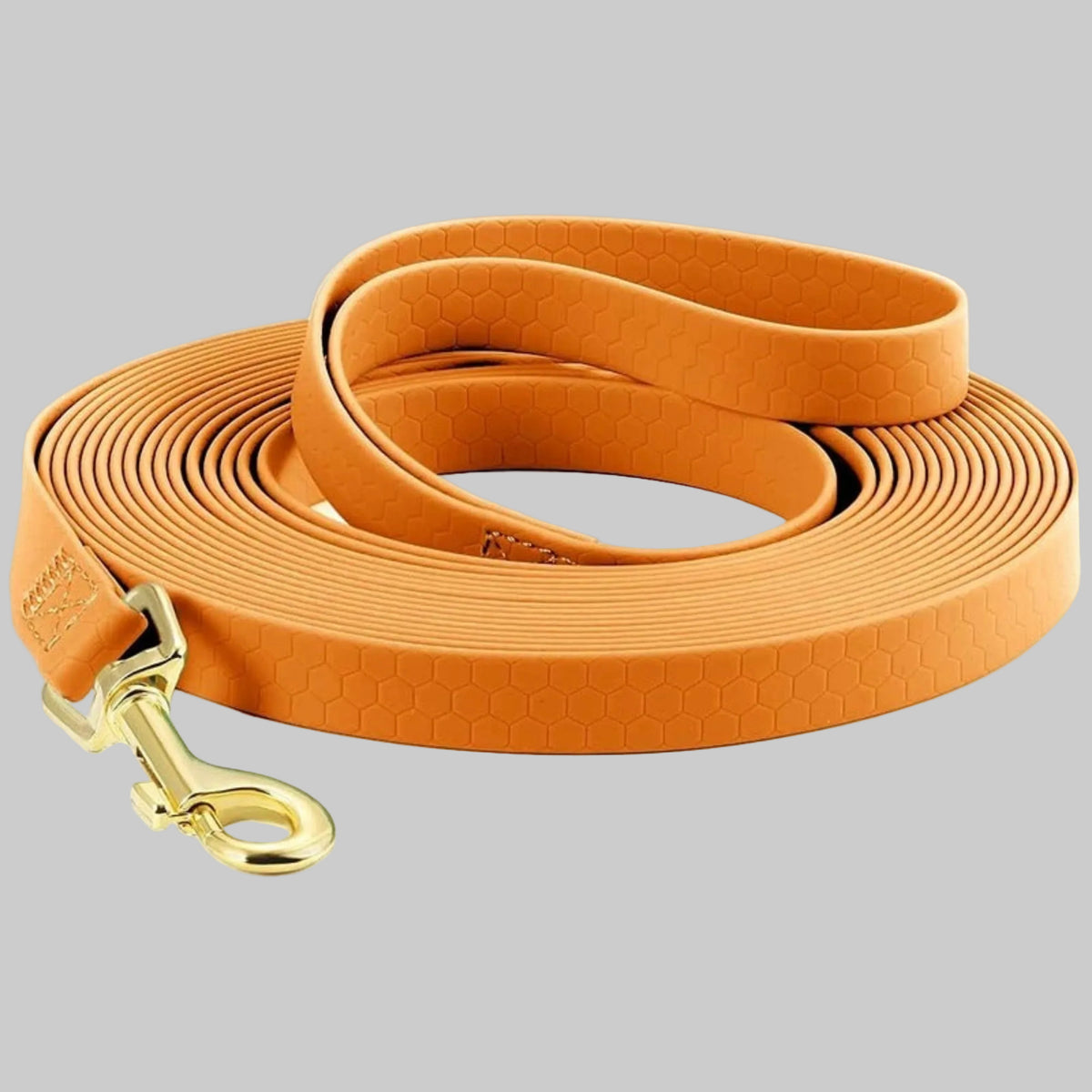 Longe pour chien orange à motif hexagonal, mousqueton doré