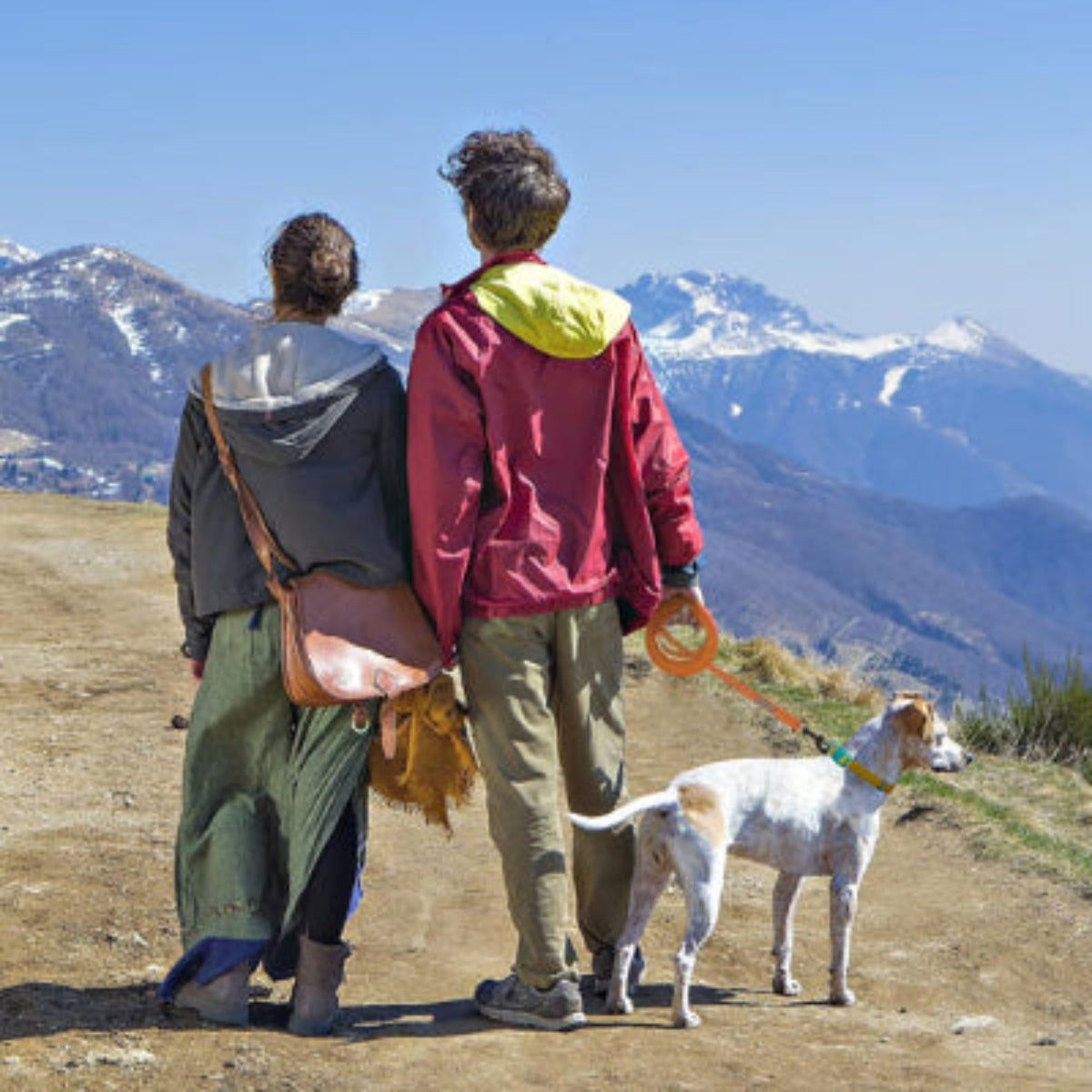 Longe pour chien avec sangle orange et attache métallique, utilisée en extérieur