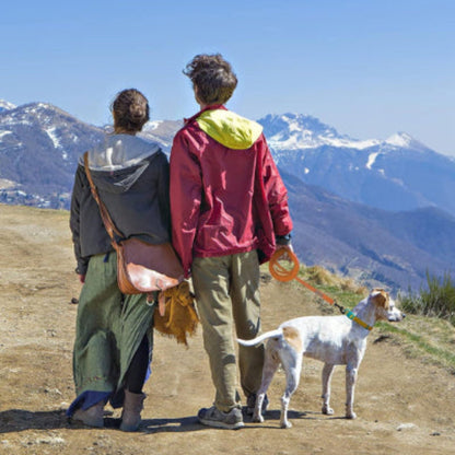 Longe pour chien avec sangle orange et attache métallique, utilisée en extérieur