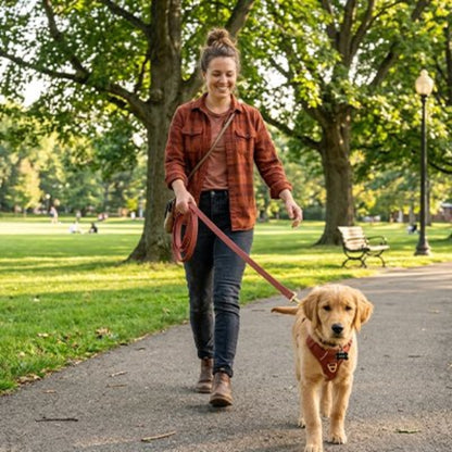 Longe pour chien grenat avec laisse assortie, tenue à la main en extérieur