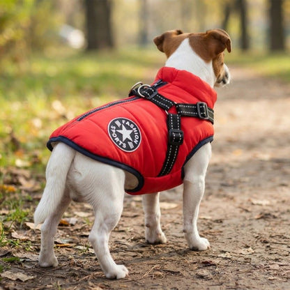 Manteau Chien confortable dehors automne