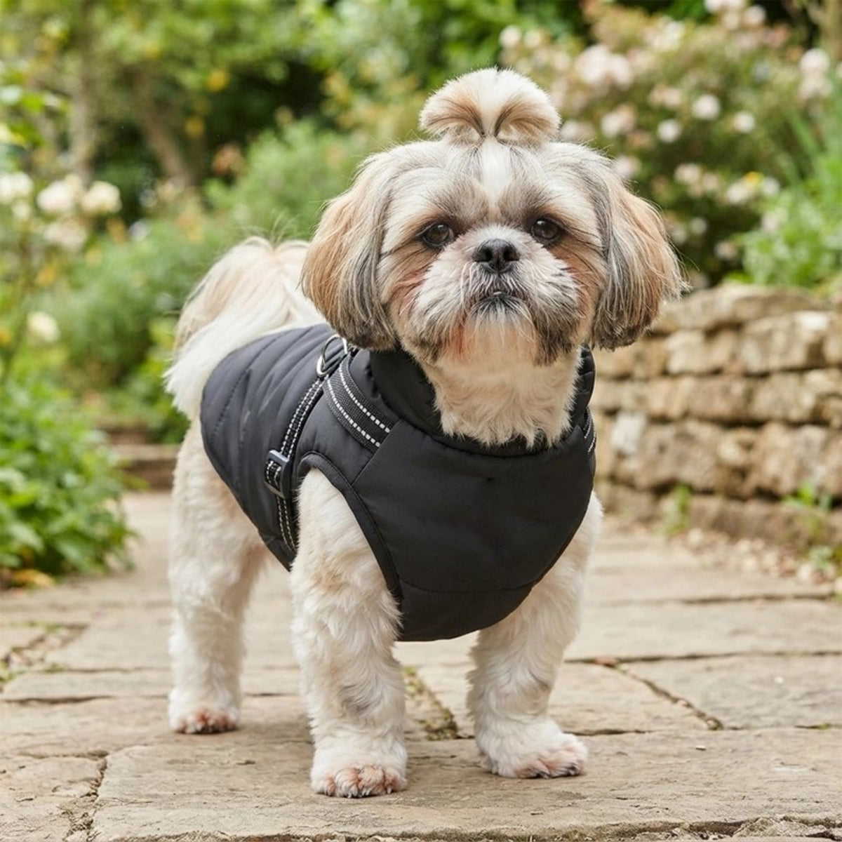 Manteau Chien facile à enfiler et offre une bonne protection