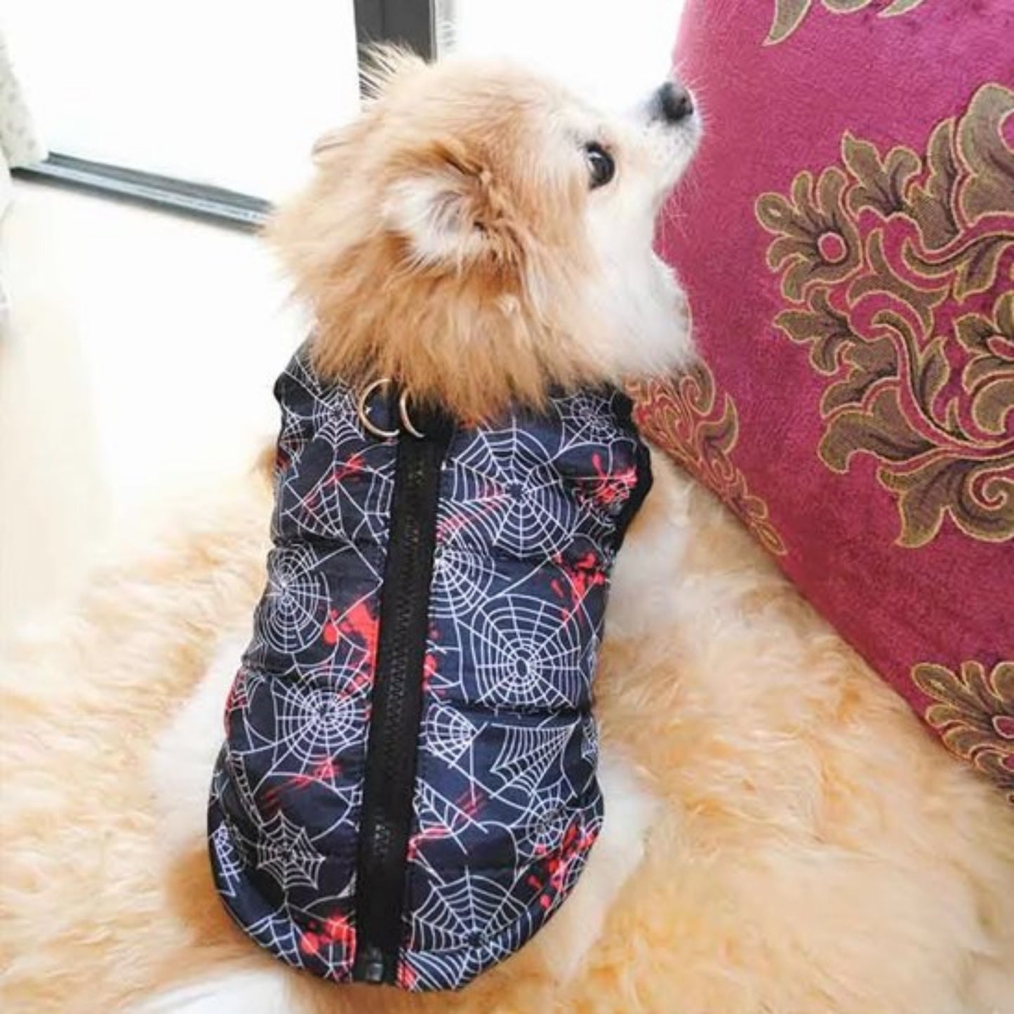 Manteau chien xs motif bleu
