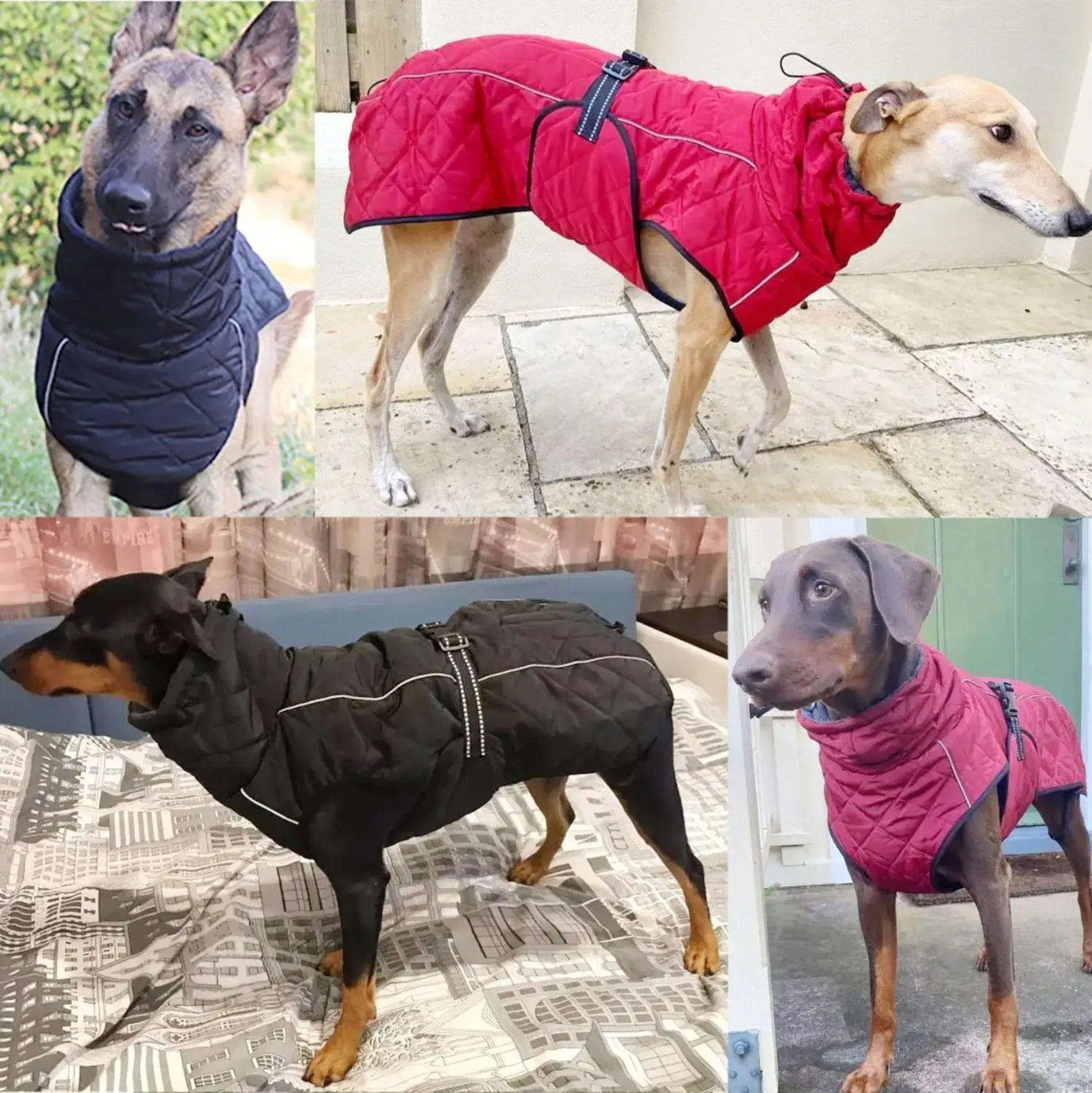 Manteaux pour chien matelassés rouge et noir, fermetures éclair et ouvertures pour pattes