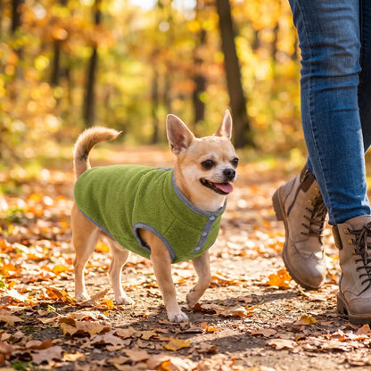 Manteau pour chien automne au chaud