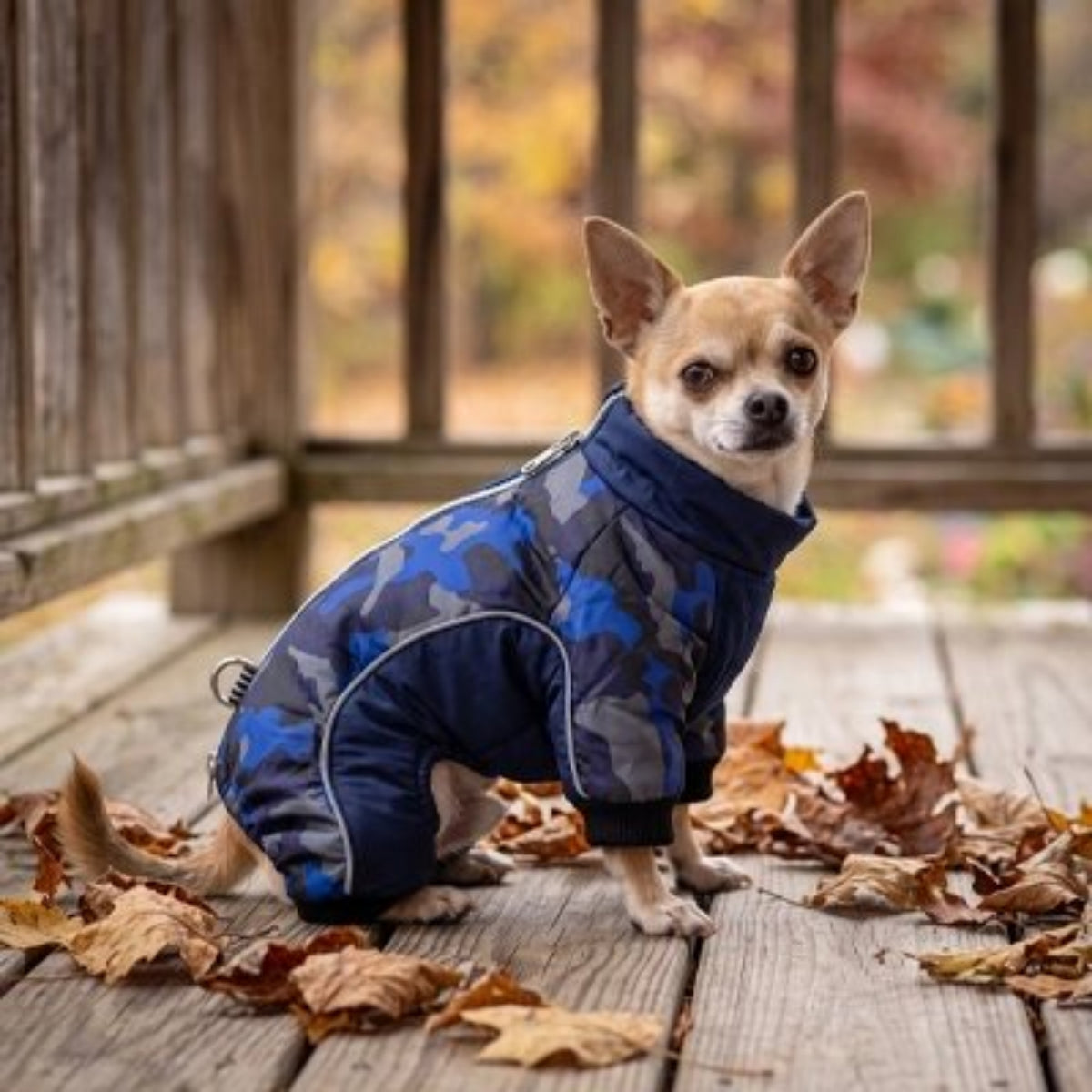 Manteau d’hiver pour chien bleu camouflage, fermeture zippée, col montant, manches côtelées
