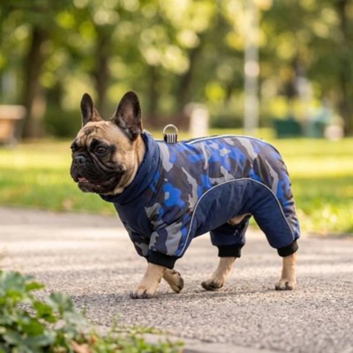Manteau d’hiver pour chien bleu camouflage, col montant, manches côtelées, fermeture zippée