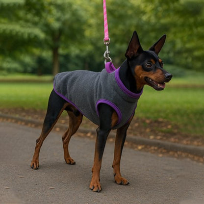Manteau pour Chien couleur gris