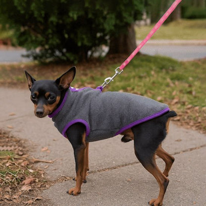 Manteau pour Chien gris sur pinscher