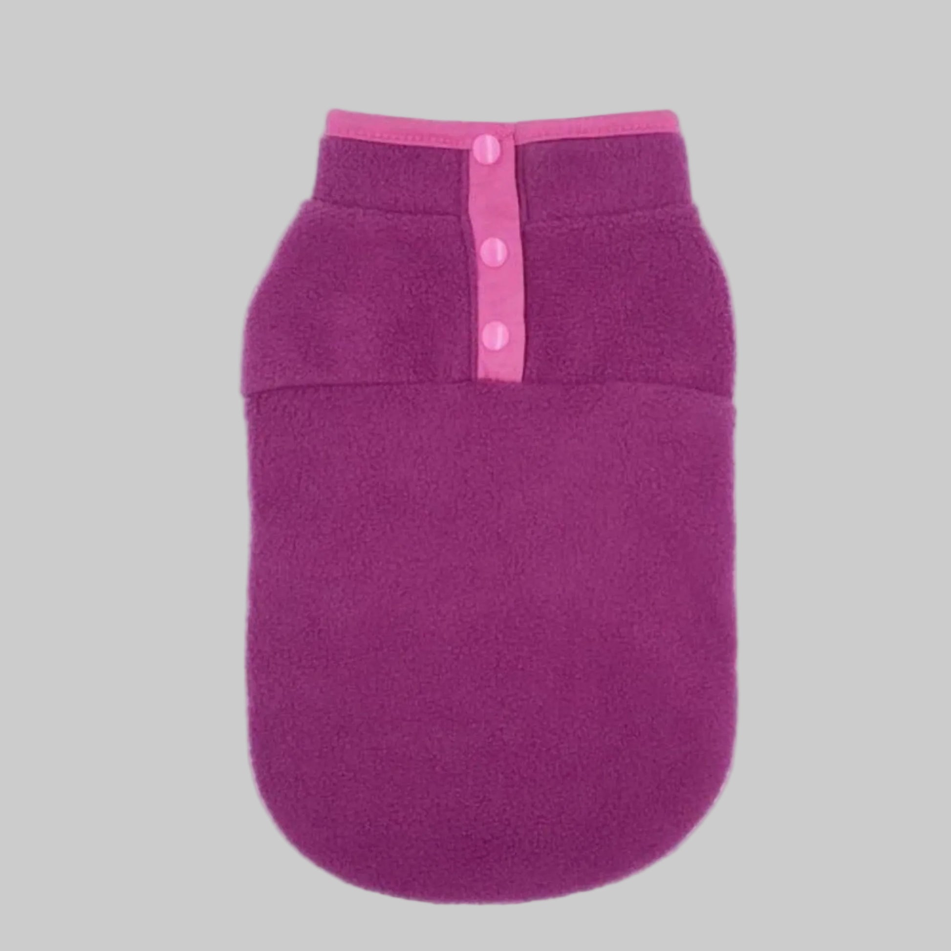 manteau pour chien violet superbe