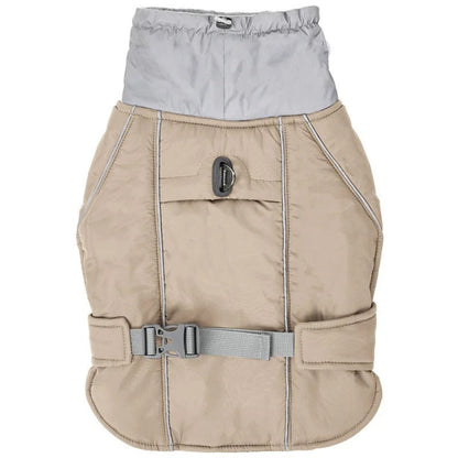 manteaux pour chien beige beau détails