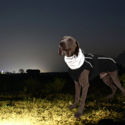 Chien portant manteau pour chien noir, col haut et harnais ajustable.