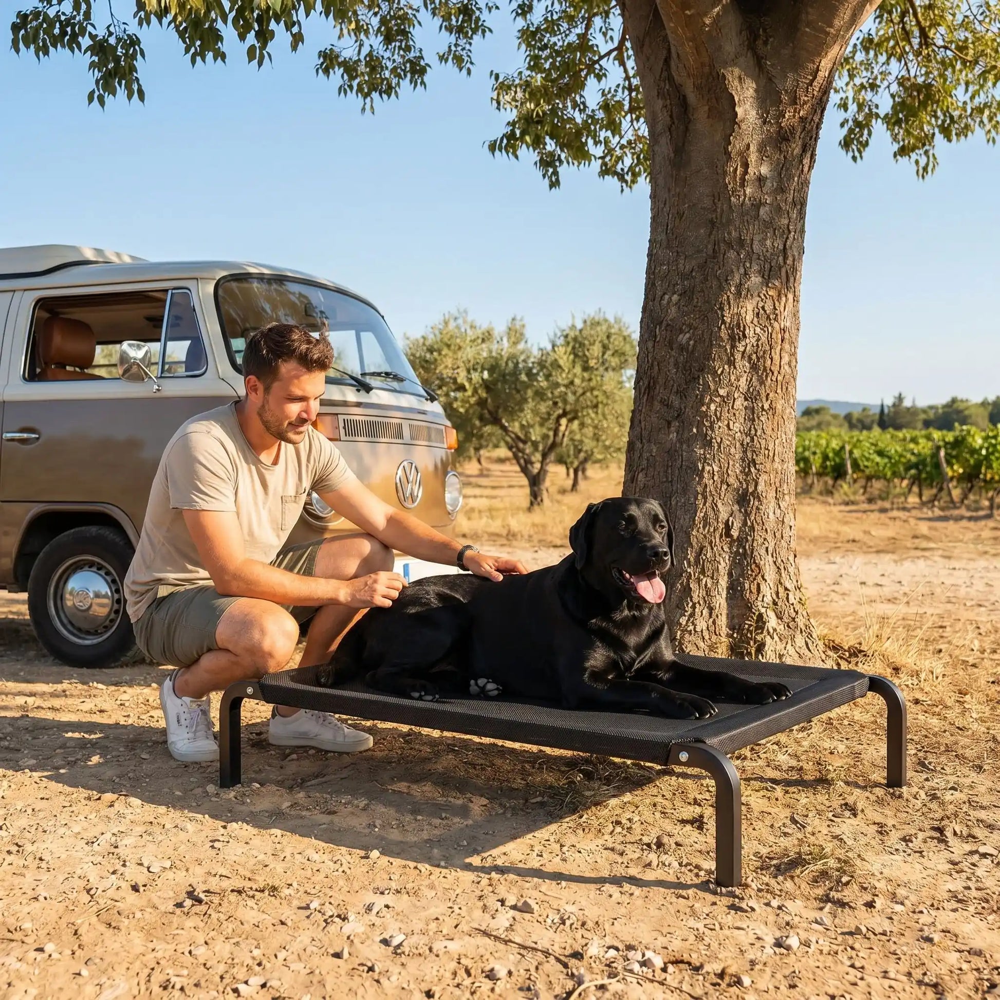 Lit surélevé pour chien avec cadre noir et chien noir allongé