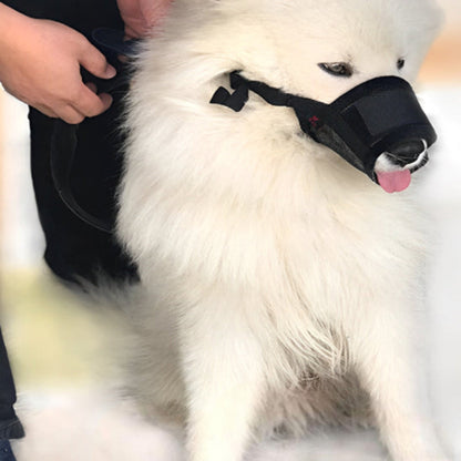 Muselière anti-aboiement noire portée par un chien blanc, sangle au museau.