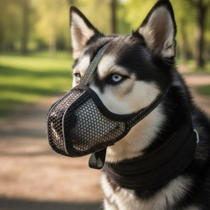 Muselière pour chien en maille noire à motif, sangle de maintien sur le museau