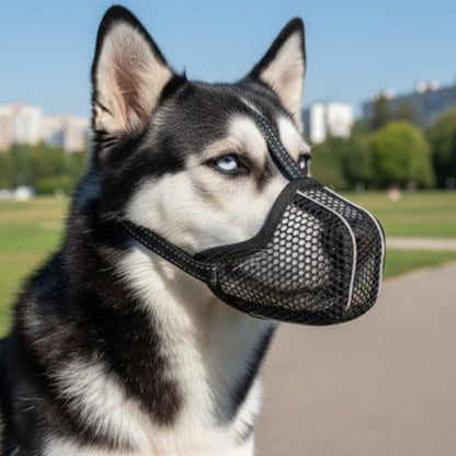 Muselière pour chien en maille noire, avec sangle et ouverture frontale