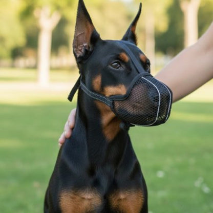 Muselière pour chien en maille sombre, sangle réglable et contour arrondi