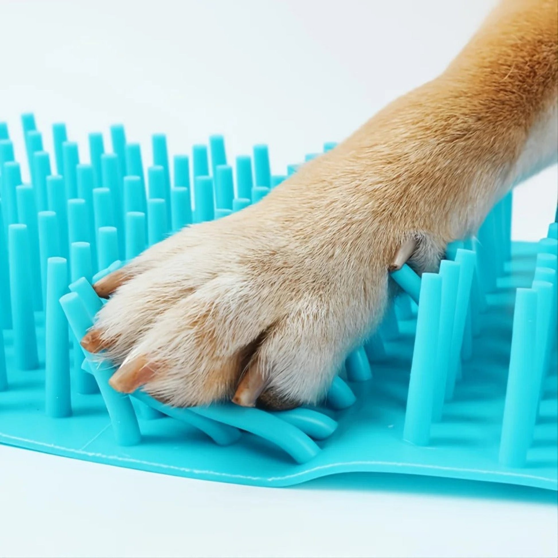 nettoyeur de pattes en silicone details