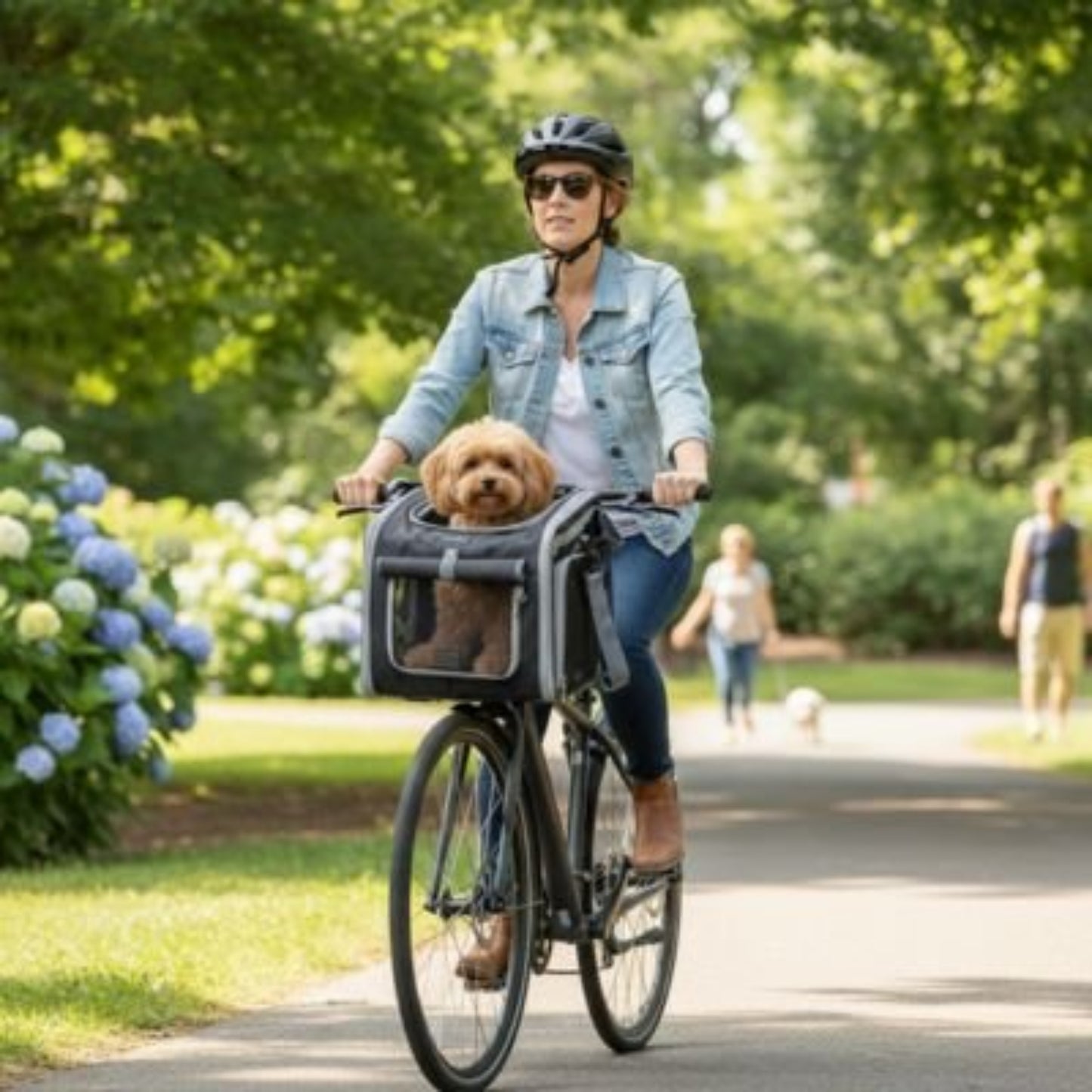 Panier pour chien à vélo Aventure bleu marine avec fenêtre transparente, sur vélo