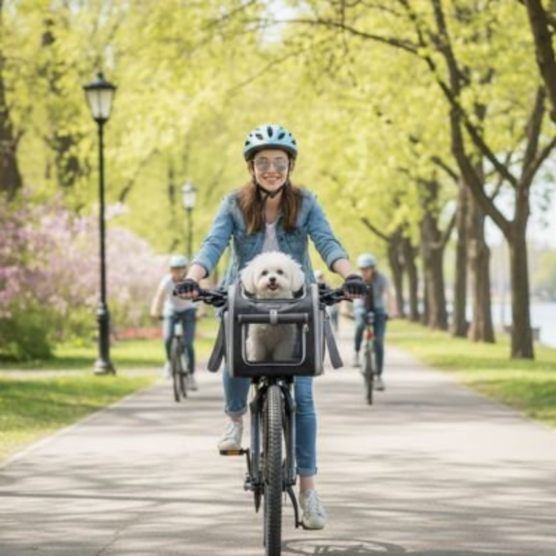 Panier pour chien à vélo Aventure gris foncé avec fenêtre transparente sur l’avant