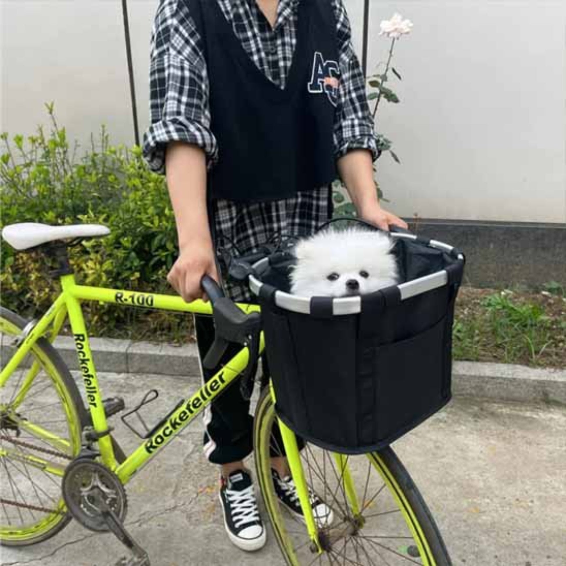 Panier de vélo pour chien noir avec cadre rigide, chien blanc assis à l’avant