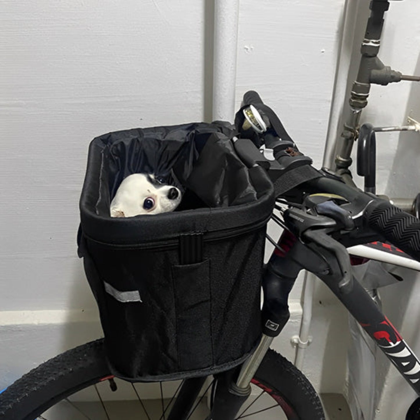 Panier de vélo pour chien imperméable noir, avec chien blanc à l’intérieur, vue avant