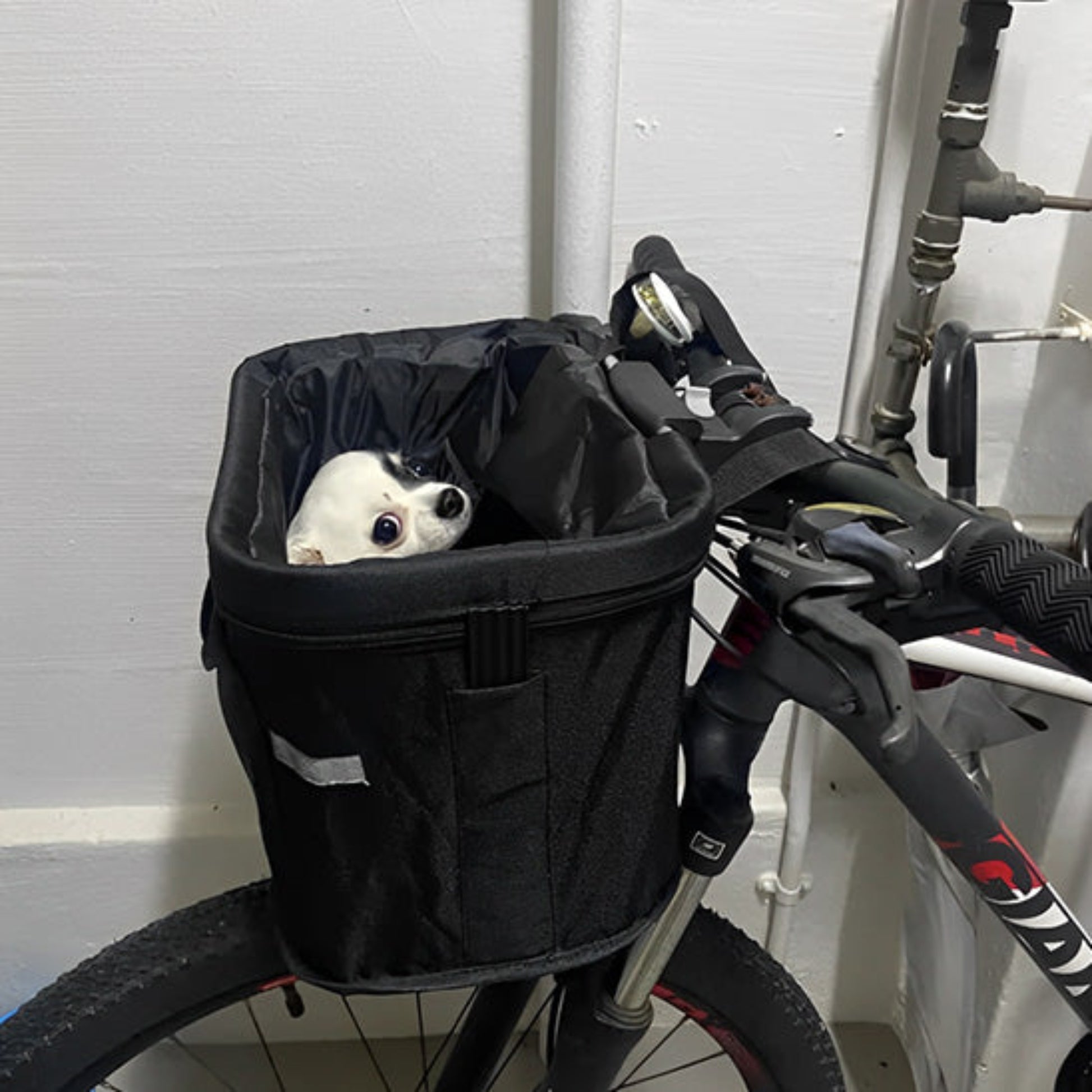 Panier de vélo pour chien imperméable noir, avec chien blanc à l’intérieur, vue avant