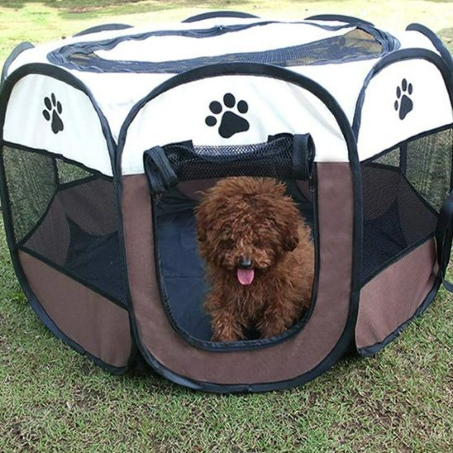 Parc pour chien chiot confortable à l'intérieur