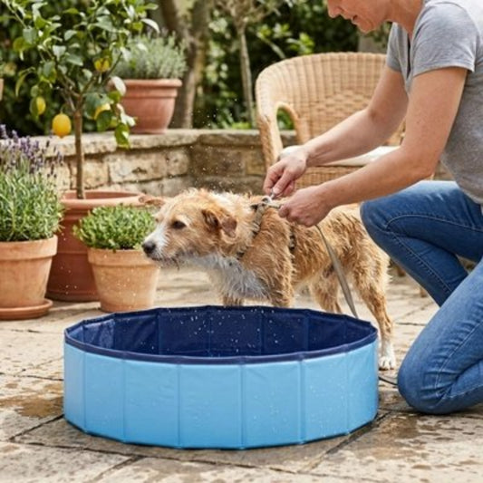 Piscine pliable pour chien bleue, bord rigide et fond souple