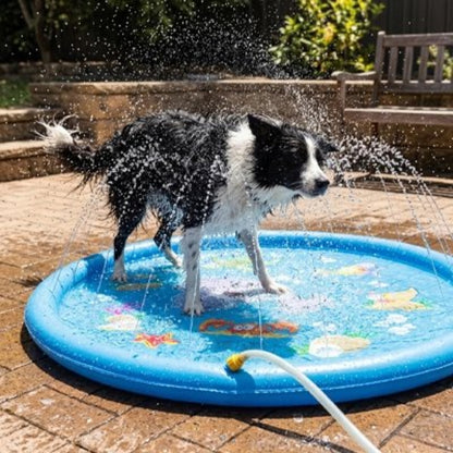 Piscine gonflable bleue avec jets d’eau; chien noir et blanc dans le bassin.