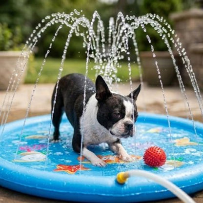 Piscine ronde bleue avec tapis de jeu et jets d’eau; chien noir et blanc nageur.