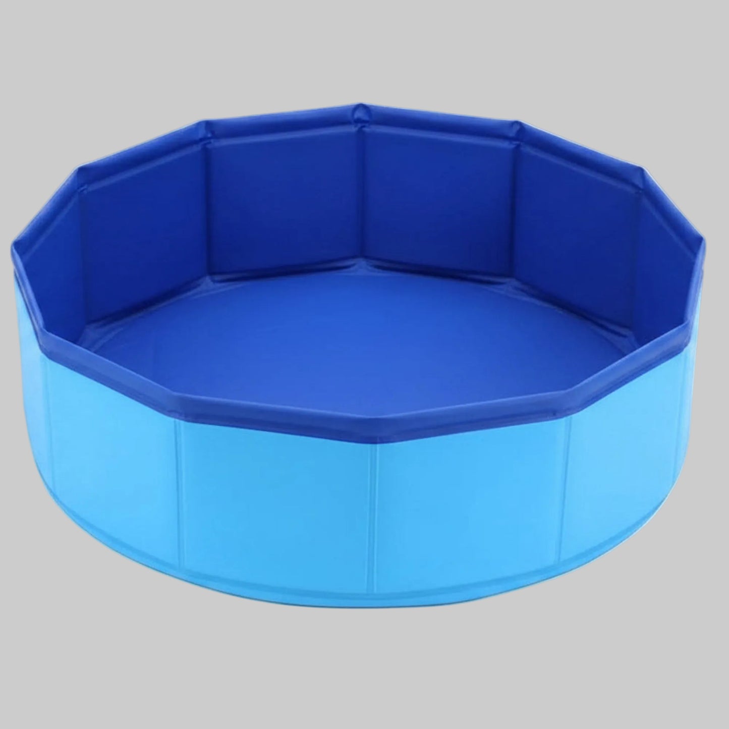 Piscine pliante bleue pour chien vide, intérieur bleu et bords rembourrés.