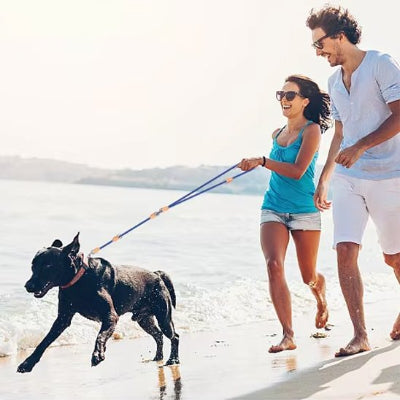 Plage bleu laisse double pour chien