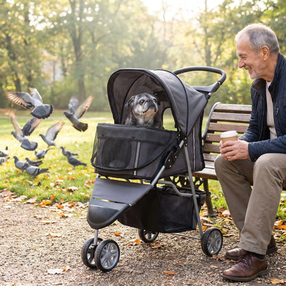 Poussette pour chien 10 kg dans un parc avec humain observe les pigeons